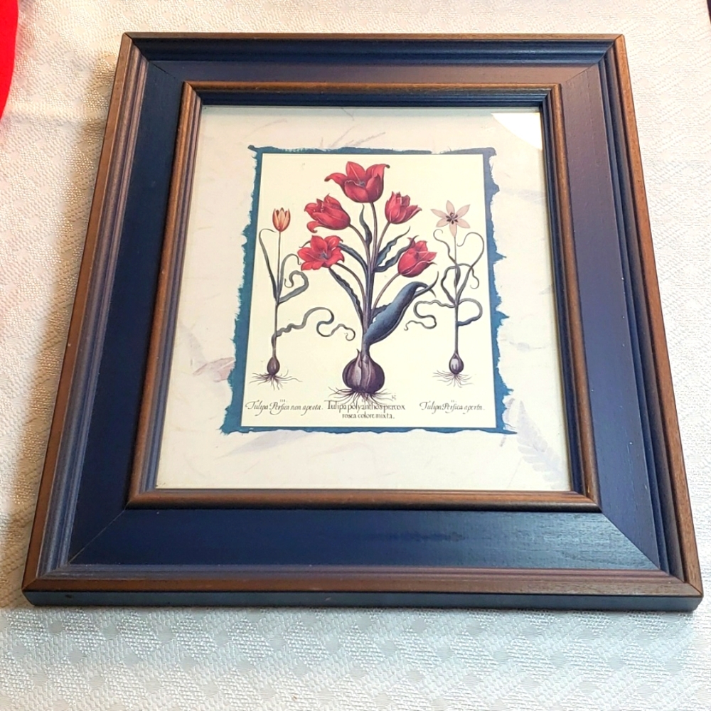 Framed in blue tulip botannical print